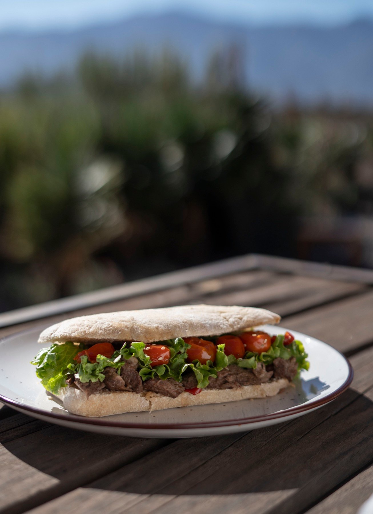 Sandwich de campo